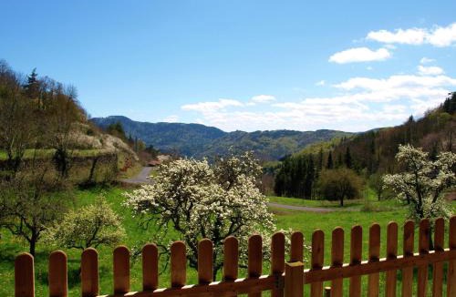 Paulhac-en-Margeride House | Cozy Countryside Escape in Auvergne