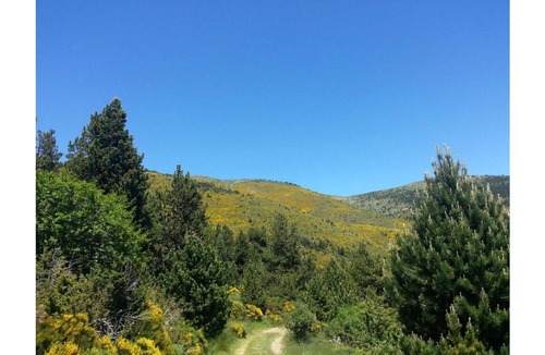 Puigcerda Bed & Breakfast | Di Verena - Three people with private bathroom nr 25