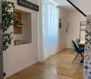 Aurillac Apartment | Duplex T4 centre historique
