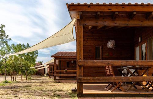 Vinyols i els Arcs Other | Ecològic Vinyols Camp