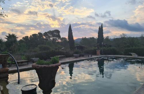 El Perello Resort | Ecolodge Carpe Diem El Perelló