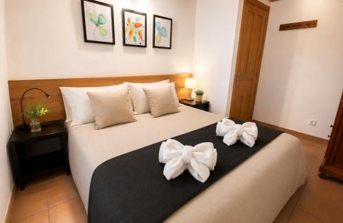 Laspuna Apartment | El Cajigar Ordesa Aínsa
