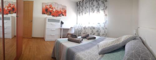 Ainsa-Sobrarbe Apartment | El Descanso