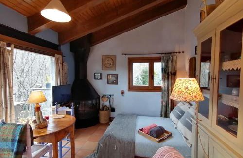 Vilallonga de Ter Apartment | Els Pins d'Abella