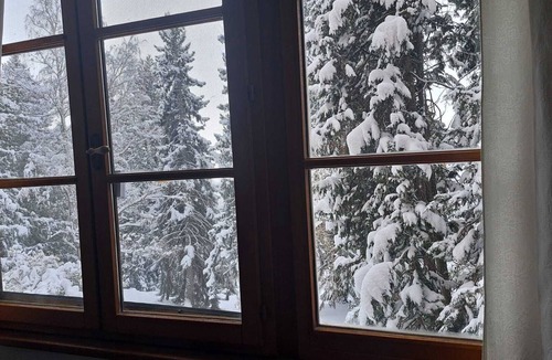 Enveitg Apartment | Enveig 1226. Cozy mountain apartment