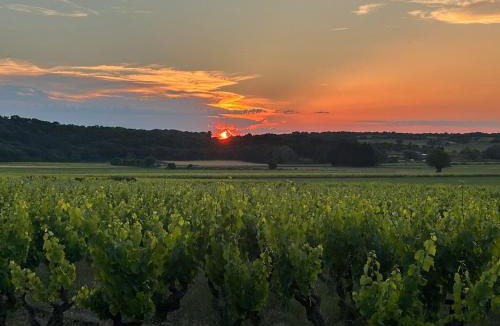 Uchaux Apartment | Escapade insolite au cœur des vignes