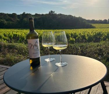 Uchaux Apartment | Escapade insolite au cœur des vignes