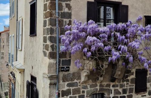 Le Puy-en-Velay Apartment | Gîte Des Tables - Cathédrale, Cœur historique, Vue