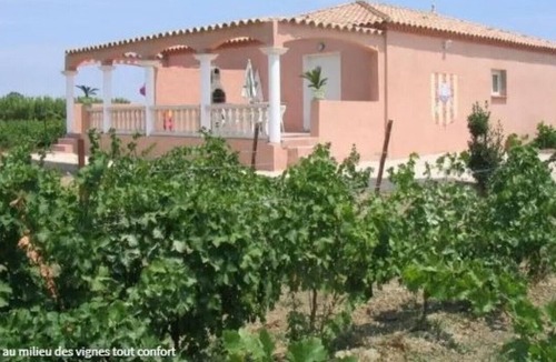 Saint-Laurent-de-la-Salanque House | Gite 3 in the heart of 6 acres of vineyard - Saint-Laurent-de-la-Salanque
