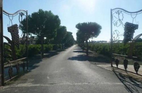 Saint-Laurent-de-la-Salanque House | Gite 5 in the heart of 6 acres of vineyard - Saint-Laurent-de-la-Salanque