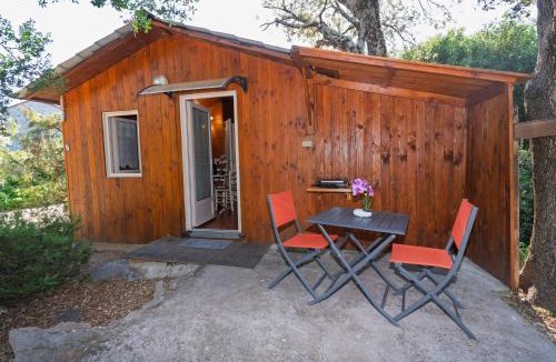 Saint-Jean-du-Pin House | Gites de Plos chalet N1 Clim Piscine Spa Ombragé en Campagne