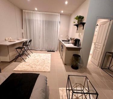 Villette-dʼAnthon Apartment | Grand studio