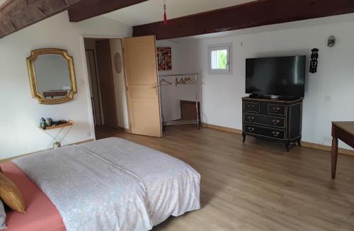 Vauvert Apartment | Grande chambre lumineuse avec cuisine,sdb et accès a un jolie jardin
