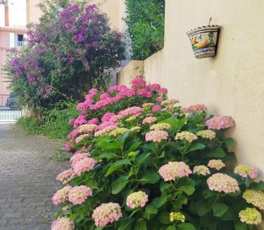 Elne House | Grande maison familiale proche mer