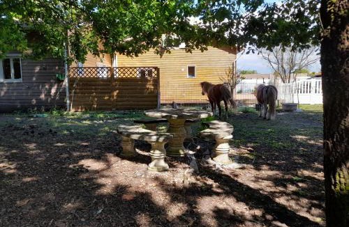 Mios House | Grande maison nature proche bassin