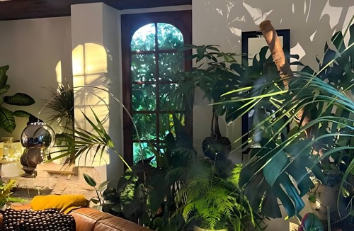 Saint-Barthelemy Bed & Breakfast | Guest Room “La Felicita - Moutarde” with Shared Terrace, Garden, and Wi-Fi