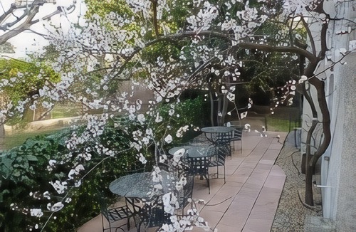Les Aubes Hotel | Hôtel Ulysse Montpellier Centre