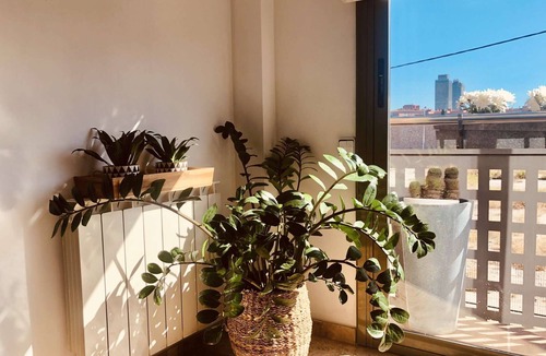 Poblenou Apartment | HHBCN Apartment Poble Nou - 7