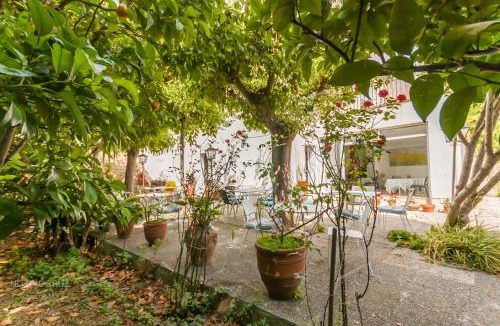 Tossa de Mar House | Hostal Cruz