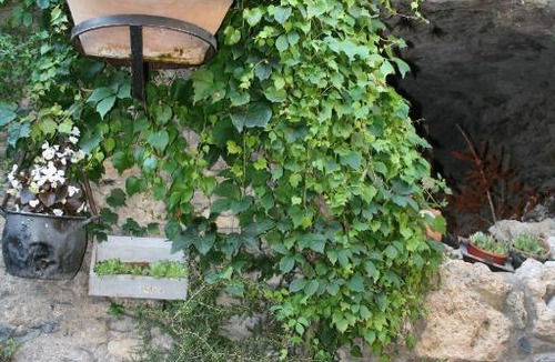 Beget House | Hostal El Forn