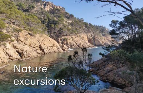 Tossa de Mar Hotel | Hotel - Bungalows Don Juan Tossa