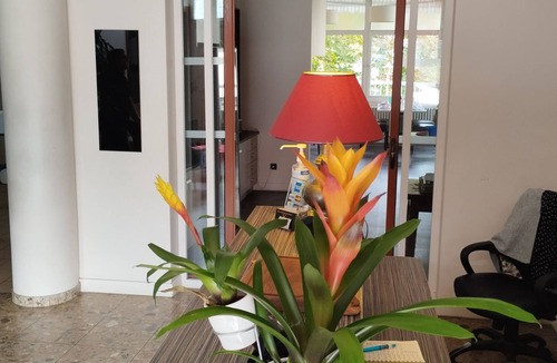 Saint-Nazaire-en-Royans Hotel | Hotel restaurant at the foot of the Vercors