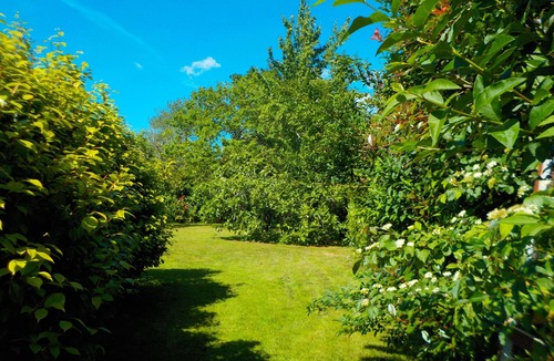 Saint-Martin-de-Seignanx House | House on large wooded grounds, near the beaches of Tarnos and Ondres.