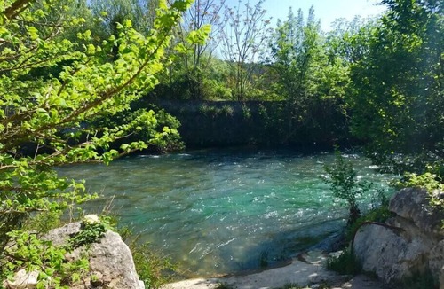 Fontaine-de-Vaucluse House | House with pool and river access