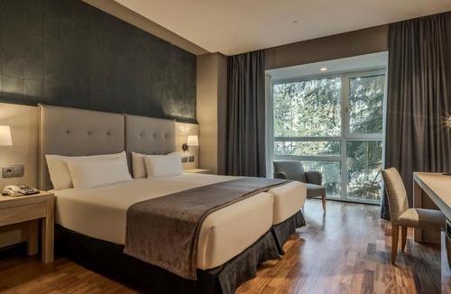 Cotos Hotel | Ilunion Pio XII