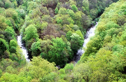 La Salvetat-Peyrales House | In Aveyron, Cottage in the countryside with horses!