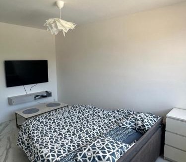 Montchat Apartment | Isidore