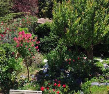 Bollene House | KEUR JANT BI