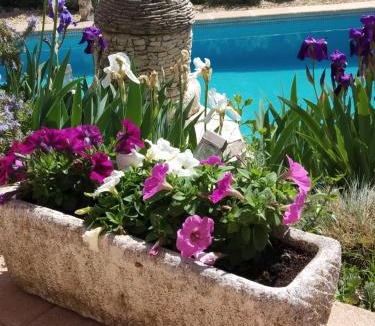 La Motte-dʼAigues Bed & Breakfast | L'éolyre