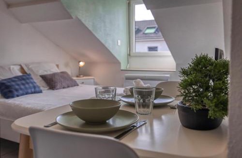 Quartier Chorier-Berriat Apartment | L'Ecrin d'Alembert - Clinique Mutualiste/Rocade
