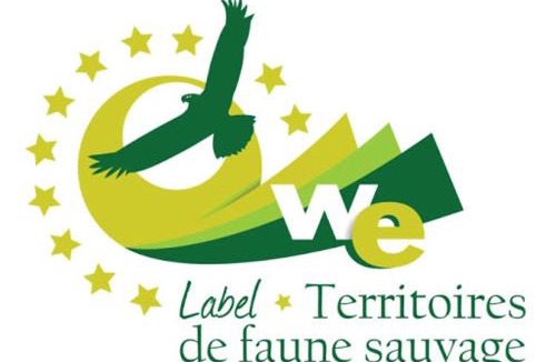 Lafarre House | L'envol des papillons