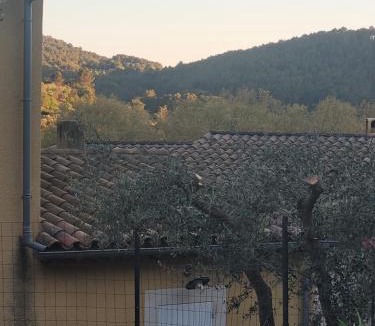 Fontaine-de-Vaucluse House | L'Oustau de Laëtitia Animaux bienvenus