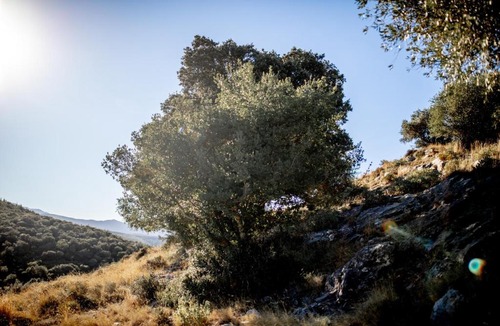 Camelas House | La bergerie de Sant Marti de la Roca