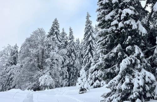 Cessenaz Bed & Breakfast | La Dame du Lac à Sevrier