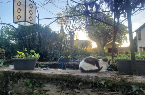 Pampelonne House | La ferme des grandes oreilles