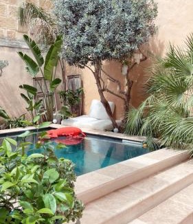 Vauvert House | La Maison du Trident en Camargue Piscine et Jacuzzi