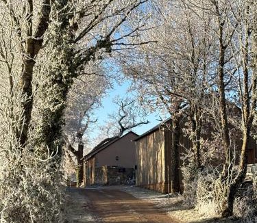 Pampelonne House | La Petite Cirounié