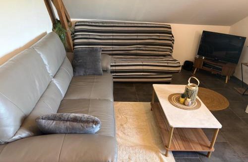 Severac-d'Aveyron Apartment | La suite du Barry au cœur du château