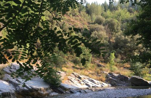 Saint-Etienne-Vallee-Francaise House | Les soliéges de la cascade - parc des cévennes