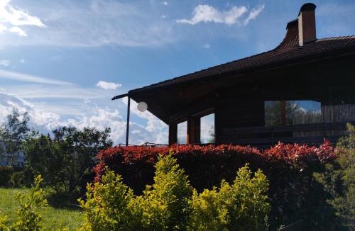 Sciez Apartment | Le Grand Nid - Gîte La Maison Alvéole