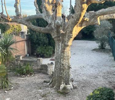 Monteux House | Le Mas du Platane - logement deux chambres en Provence