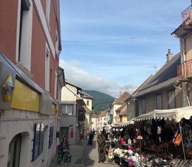 Saint-Bonnet-en-Champsaur Apartment | Le Nidou