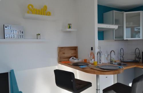 Albi Apartment | Le petit studieux - Parking - Animaux acceptés - Centre ville accessible à pied