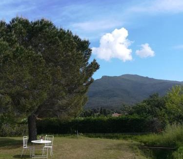 Laroque-des-Alberes Apartment | Le Quatorze