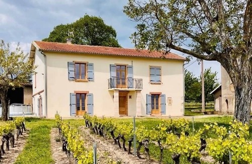 Lisle-sur-Tarn House | Les Blancs - Maison de maître 4* entourée de vignes