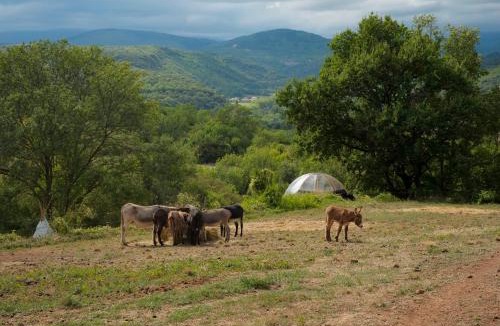 La Tour-Sur-Orb Other | Les Cabânes-Tipi Jerolamo en pleine nature